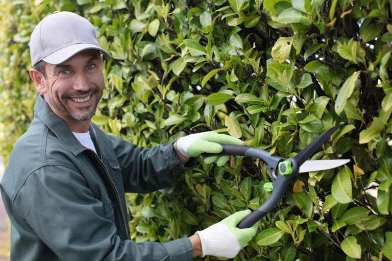 Boxwood Trimming in Aiken, SC
