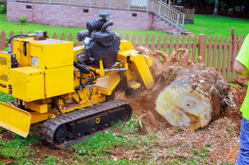 Bush Stump Grinding in Aiken, SC