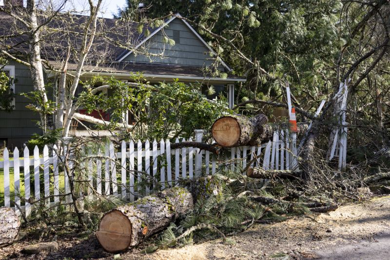 Emergency Tree Removal in Bucks County, PA