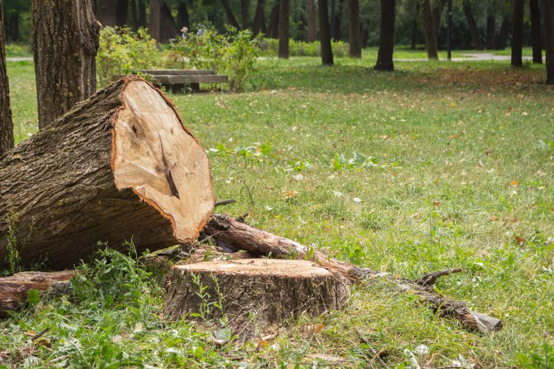 Tree Removal Service in Bucks County, PA