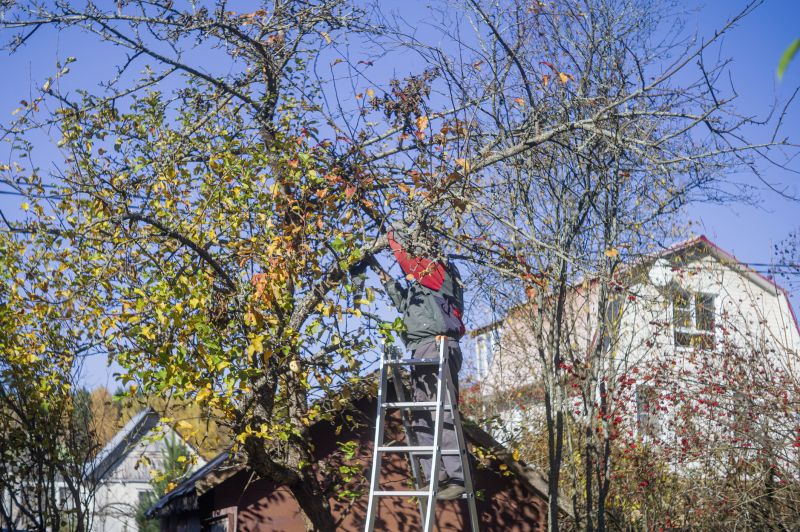Tree Service in Pottstown, PA